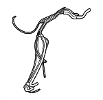 MD367536 - : Hose &amp; Tube Assembly for Mitsubishi: Galant Image