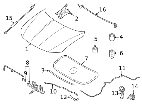 Hood & Components for 2025 Hyundai Tucson #0
