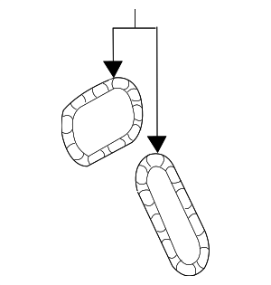 135060P011 - : Timing Chain for Toyota Image