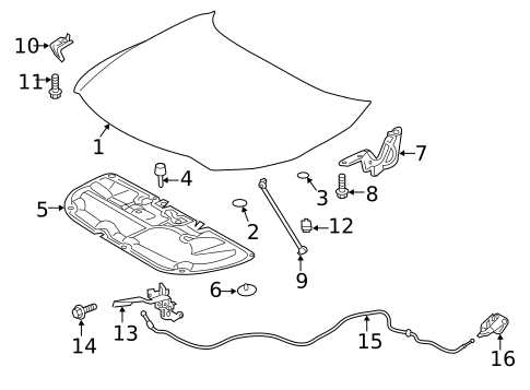 Hood & Components for 2024 Toyota Venza #0