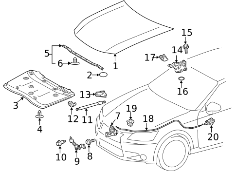 Hood & Components for 2020 Lexus GS F #0