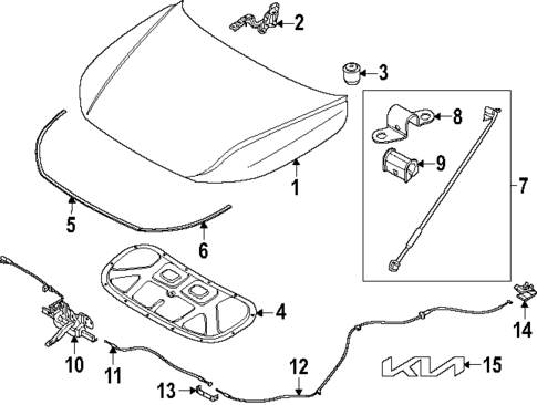 Hood & Components for 2025 Kia K4 #0