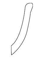 11814P8AA00 - Engine: Outer Timing Cover Gasket for Honda: Accord, Accord Crosstour, Crosstour, Odyssey, Passport, Pilot, Ridgeline Image