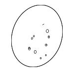 32306770417 - Steering: Steering Wheel for BMW: 325Ci, 325i, 325xi, 330Ci, 330i, 330xi Image