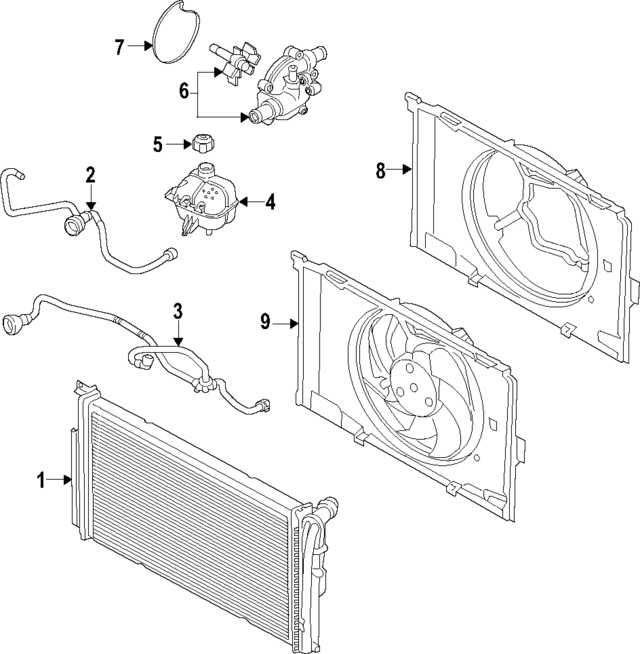 17128611674 - Cooling System: Lower Hose for BMW Image
