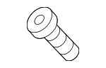 11609457 - Body: Lower Gate Trim Screw for GM Image