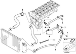11531716641 - Engine: Water Hose for BMW Image