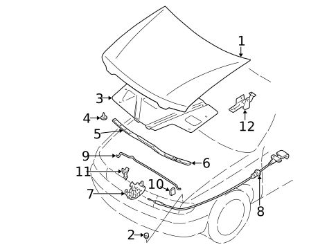 Hood & Components for 2001 Nissan Altima #0