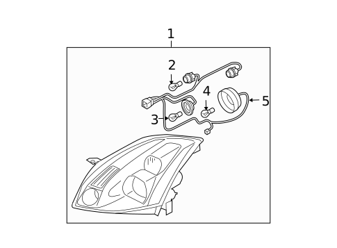 Bulbs - Chassis for 2005 Nissan Maxima #0