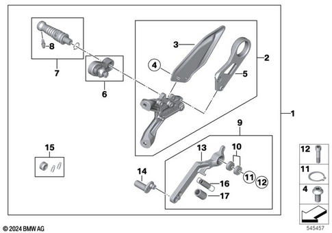 Footrests for 2018 BMW-Motorrad S 1000 RR #1