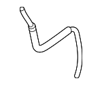 Lower Hose