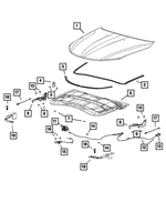 68105153AB - : Hood Prop, Left for Mopar Image