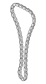 1350621050 - Engine: Timing Chain for Toyota Image