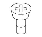 143300151 - Body: Striker Screw for Nissan: Micra, Murano Image