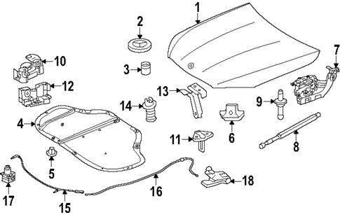 Hood & Components for 2025 Mercedes-Benz GLC 63 AMG&reg; S E Performance #1
