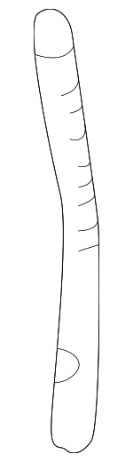 52208236224 - Body: Headrest Guide for BMW: 323Ci, 323i, 325Ci, 325i, 325xi, 328Ci, 328i, 330Ci, 330i, 330xi, M3 Image