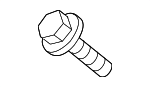 LR007651 - Body: Cover Screw for Land Rover: LR2 Image