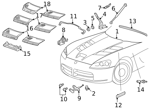 Hood & Components for 2010 Dodge Viper #0