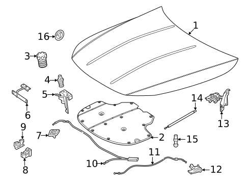 Hood for 2026 Mercedes-Benz CLE300 #0