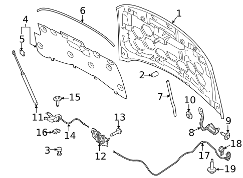 Hood & Components for 2015 Lincoln MKC #0
