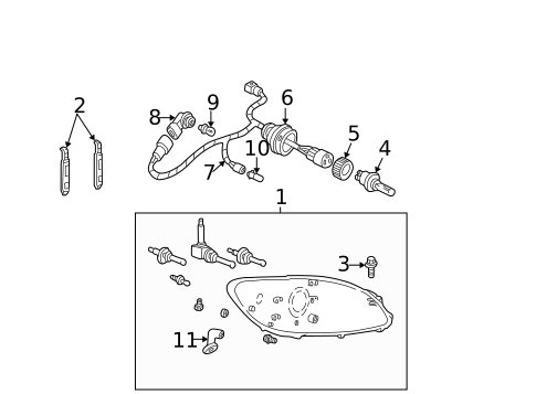 Bulbs - Chassis for 2005 Ford Taurus #0