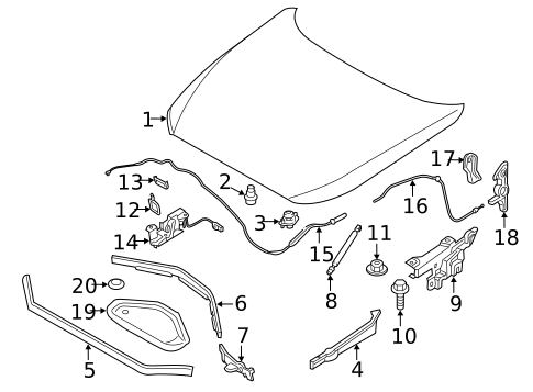 Hood & Components for 2015 BMW 228i #0