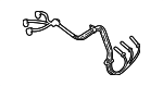 19417604 - Electrical: Plug Wire Set for GM Image