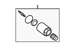 XR858423 - Tire &amp; Wheel: Tire Valve Stem for Jaguar Image