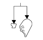 81248T8NB31ZA - Body: Inner Finish Panel for Honda: Clarity Image