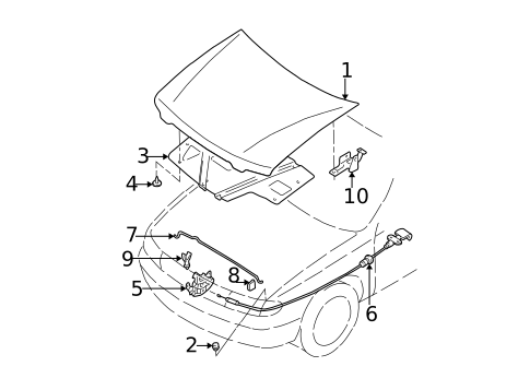 Hood & Components for 2002 Nissan Altima #0