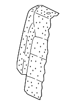 5NN885776 - Body: Seat Back Pad for Volkswagen: Tiguan Image