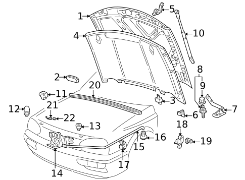 Hood & Components for 1999 Volkswagen Cabrio #1