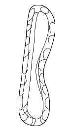 1350728010 - Engine: Chain for Scion: iM, tC, xB, xD | Toyota: C-HR, Camry, Corolla, Corolla iM, Highlander, Matrix, Prius, Prius AWD-e, Prius Plug-In, Prius Prime, Prius V, RAV4, Solara Image