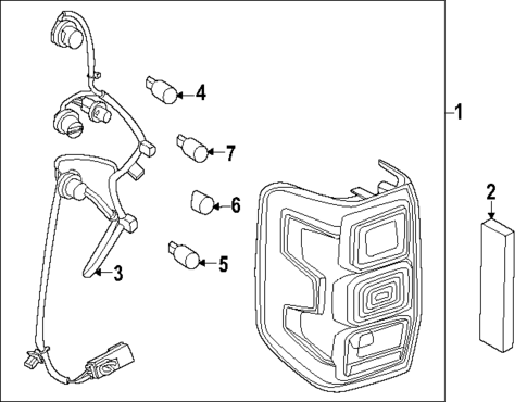 Bulbs - Chassis for 2024 Ford Ranger #1