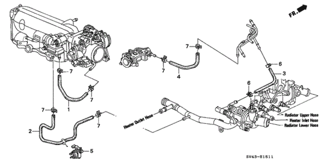Water Hose (2) for 1995 Honda Accord #0
