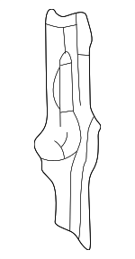 6162808900 - Body: Rear Extension for Toyota: Sienna Image