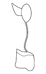 90688SR3003 - Electrical: Protector Clip for Acura: Integra Image