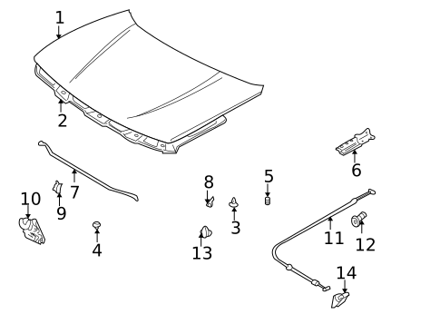 Hood & Components for 1999 Chevrolet Tracker #0
