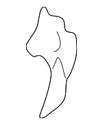 MR478989 - Body: Drip Molding Clip for Mopar Image