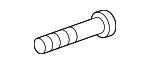 Strut Lower Bolt