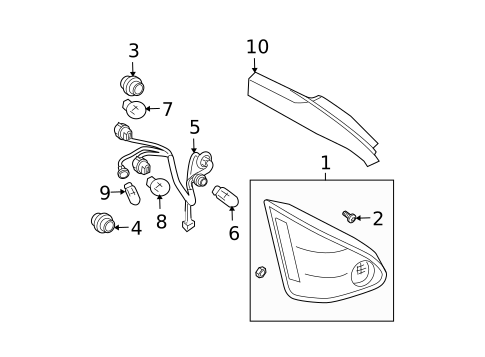 Bulbs - Chassis for 2005 Nissan Maxima #4