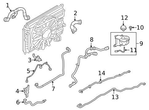 Radiator Hoses for 2020 Jaguar E-Pace #0