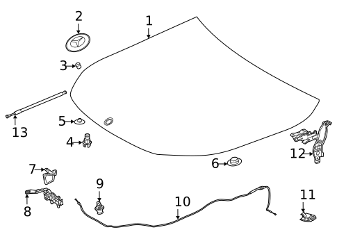 Hood & Components for 2021 Mercedes-Benz GLB35 AMG #0