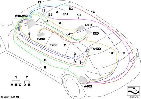 Scope of Repair Work Main Wiring Harness for 2019 BMW 228iX #0