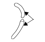 1L2Z78502C52AA - Body: Drain Hose for Ford: Explorer | Lincoln: Aviator | Mercury: Mountaineer Image