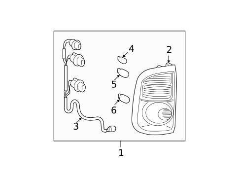 Bulbs - Chassis for 2006 Toyota Tundra #4