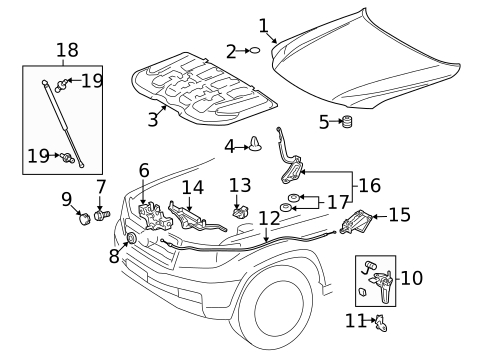 Hood & Components for 2020 Lexus LX570 #0