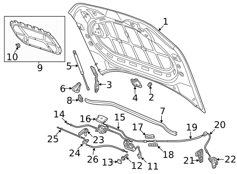 Hood & Components for 2019 Volkswagen Atlas #1