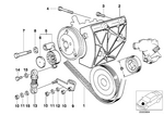 11287636368 - Engine: Ribbed V-Belt for BMW Image