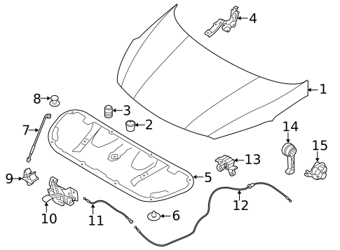 Hood & Components for 2016 Kia Forte5 #0